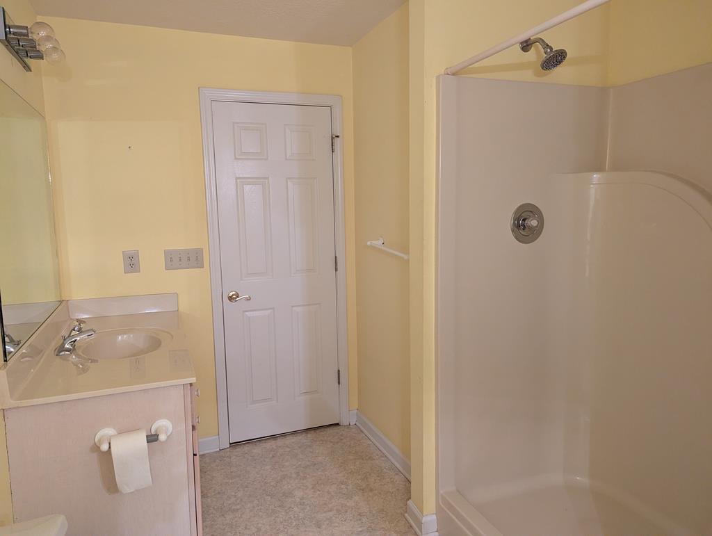 283 Deaver Cove Road Blairsville, GA 30512 - Photo 27 of 27 Terrace Level Full Bath, Separate sinks. Walk-in Shower