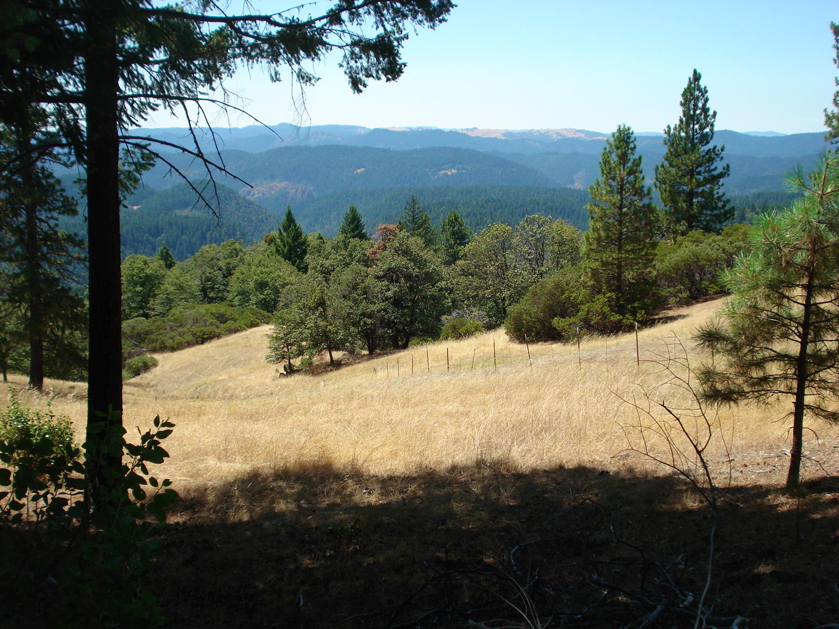 0 Forest Service 2s05 Road Mad River, CA 95552 - Photo 4 of 12 Gallery Image 4