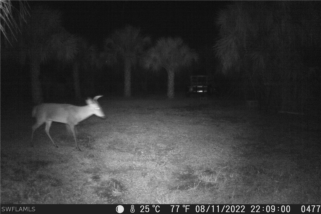 50316 Bermont Road Punta Gorda, FL 33982 - Photo 3 of 24 Gallery Image 3
