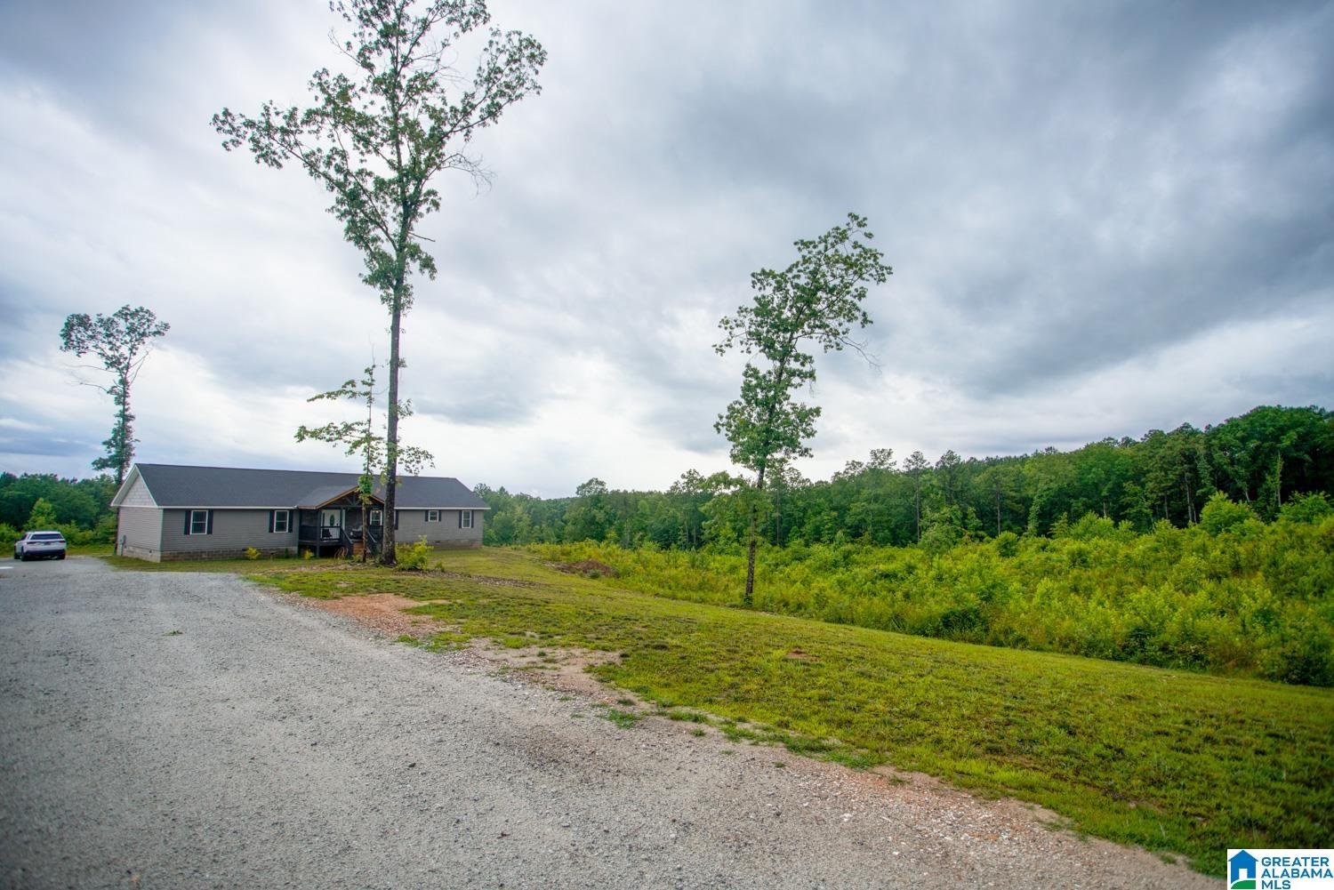 722 County Road 62 Heflin, AL 36264 - Photo 9 of 37