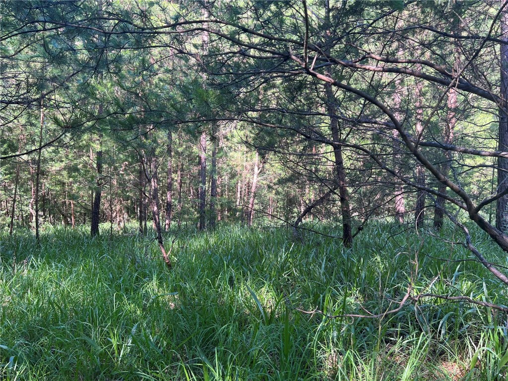 112 Links Court Sunset, SC 29685 - Photo 8 of 8