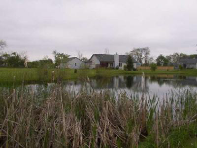 10101 Heffelfinger Road Churubusco, IN 46723 - Photo 2 of 4