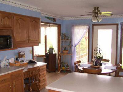 10101 Heffelfinger Road Churubusco, IN 46723 - Photo 3 of 4