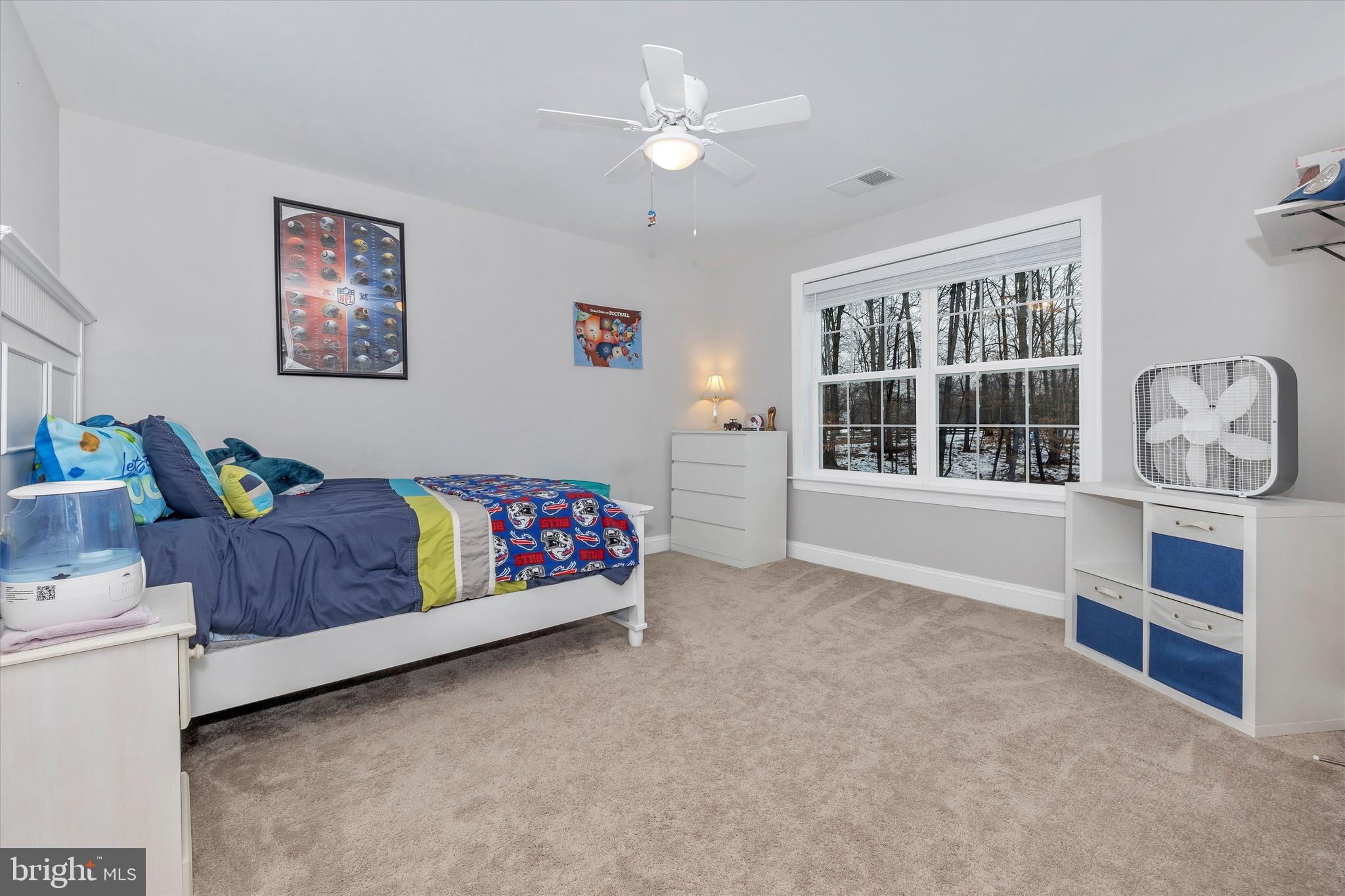 8223 Ball Road Frederick, MD 21704 - Photo 43 of 69