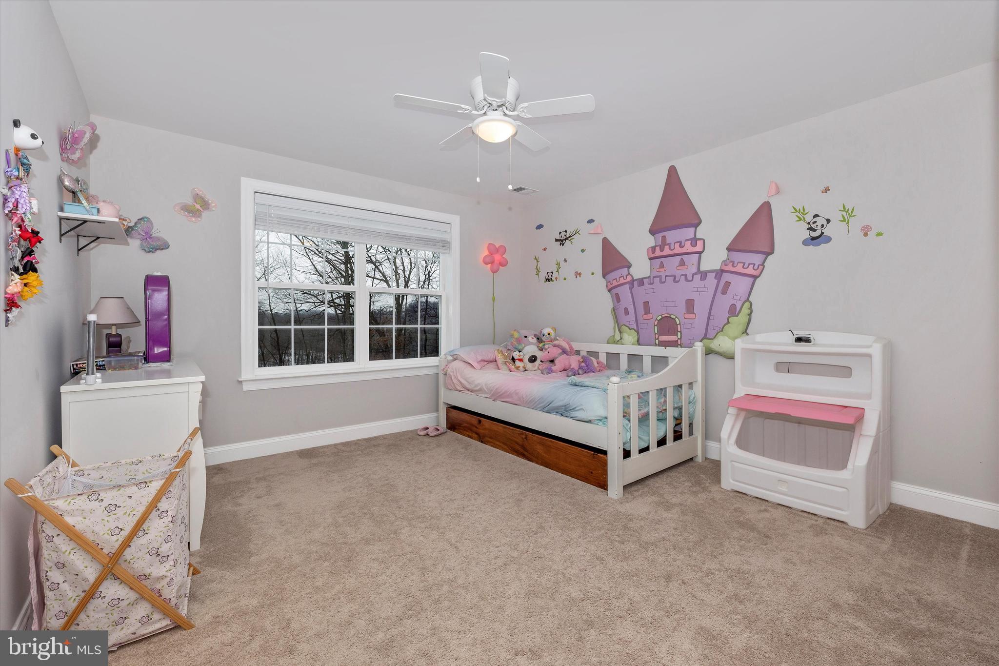 8223 Ball Road Frederick, MD 21704 - Photo 48 of 69