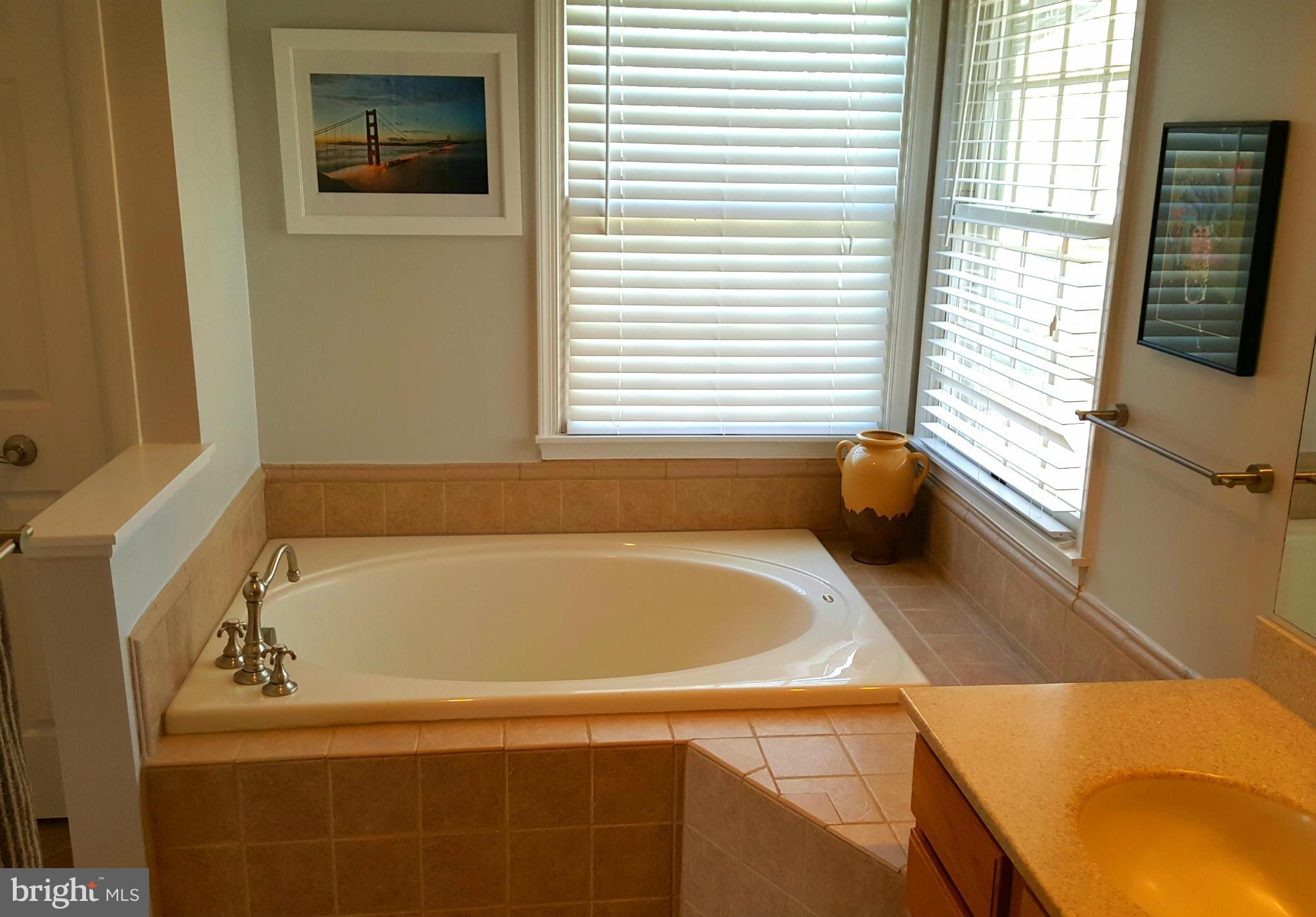 2214 Mt Tabor Road Gambrills, MD 21054 - Photo 20 of 30 Bath (Master)