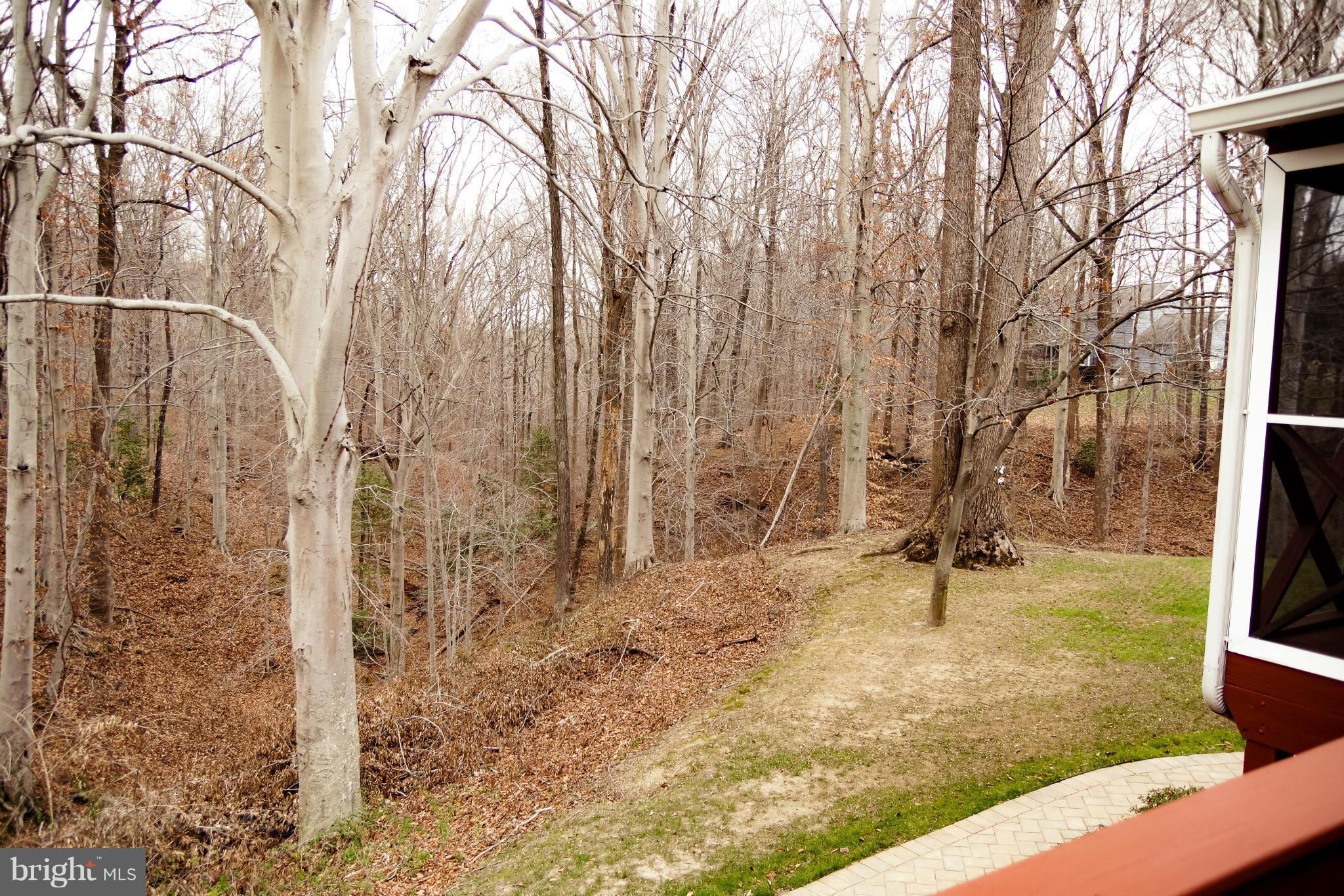 2214 Mt Tabor Road Gambrills, MD 21054 - Photo 30 of 30 View