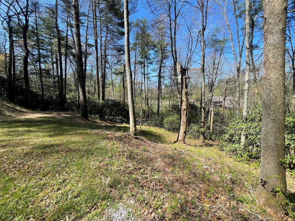 188 Holt Road Highlands, NC 28741 - Photo 5 of 17 Gallery Image 5