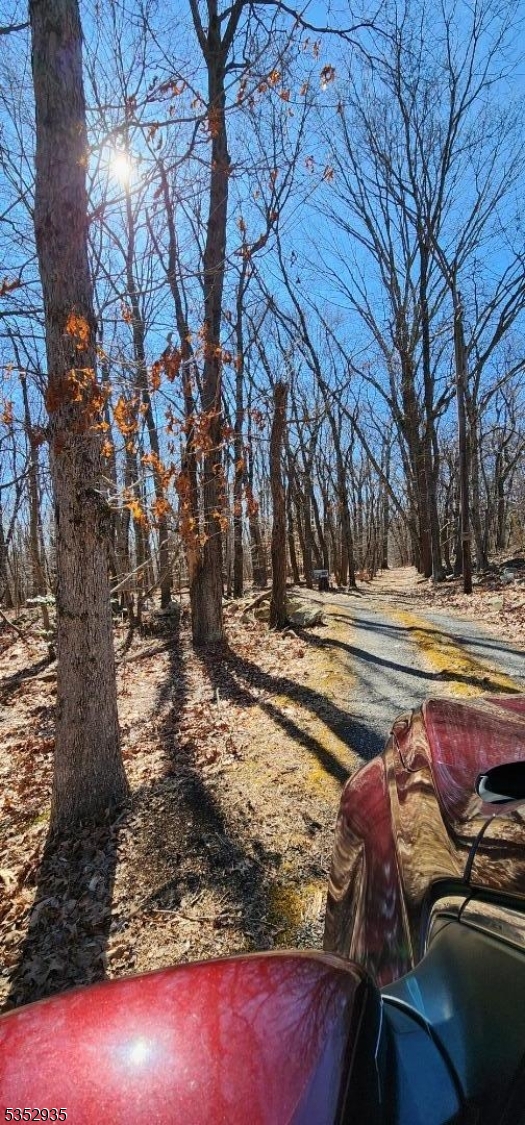 a view of a swimming pool with a yard