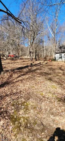 a view of a yard with snow on the road