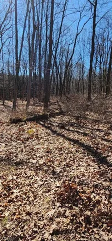 a view of house with outdoor space