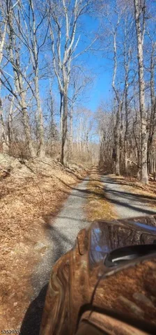 a view of ocean view with trees