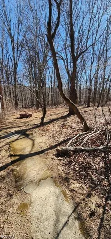 a view of yard covered with snow