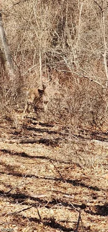 a view of residential space with wooden floor