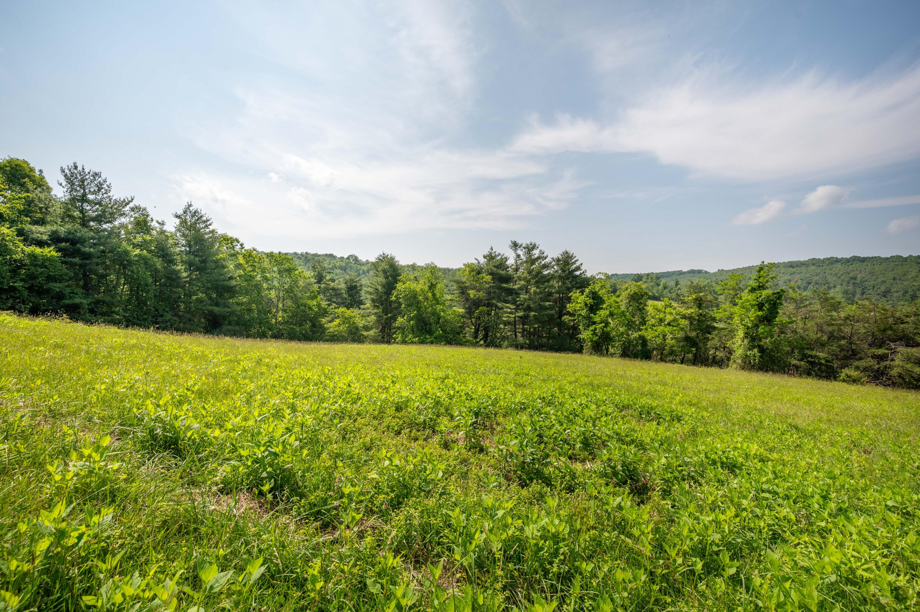 1073 Timberline Road Southeast Copper Hill, VA 24079 - Photo 11 of 56 10