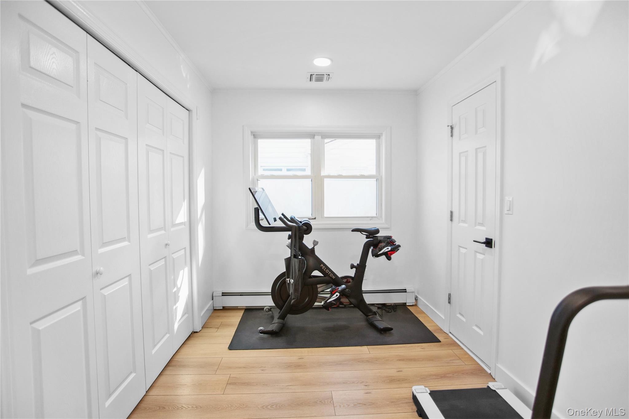 110 Hampton Way Merrick, NY 11566 - Photo 18 of 24 Exercise area with light wood-type flooring and a baseboard heating unit