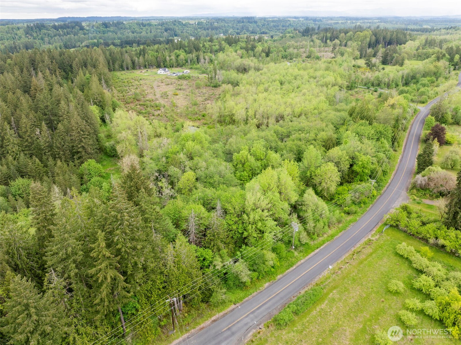 0 Eadon Road Toledo, WA 98591 - Photo 2 of 13 a view of a forest from a window