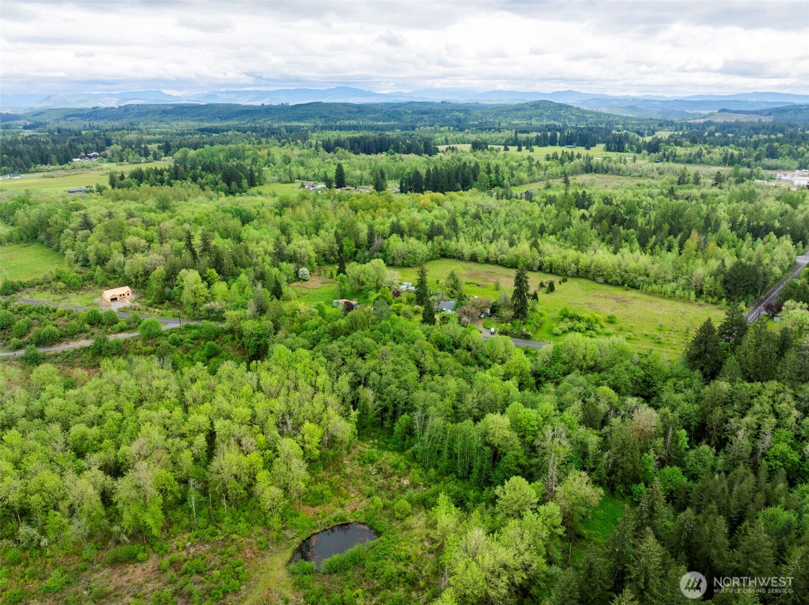 0 Eadon Road Toledo, WA 98591 - Photo 4 of 13 a view of a green field with lots of bushes