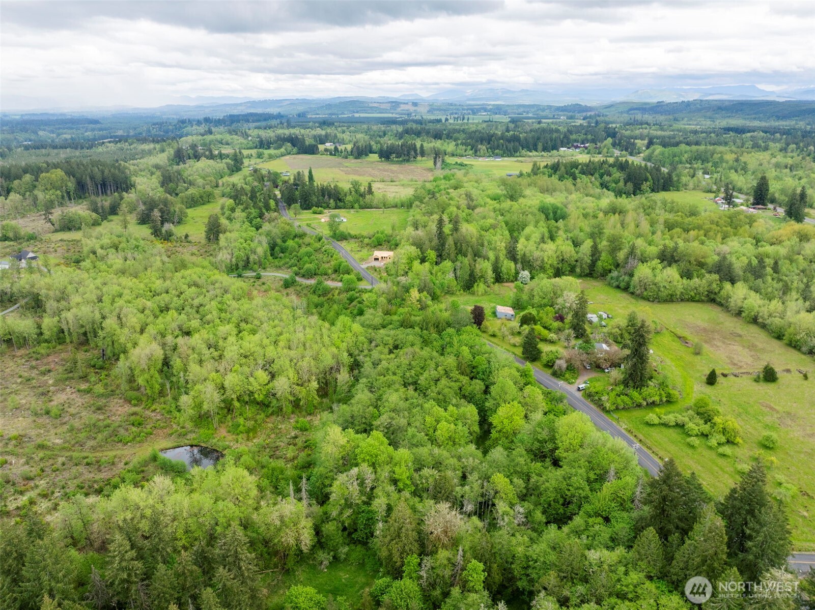0 Eadon Road Toledo, WA 98591 - Photo 5 of 13 a view of a green field with lots of bushes