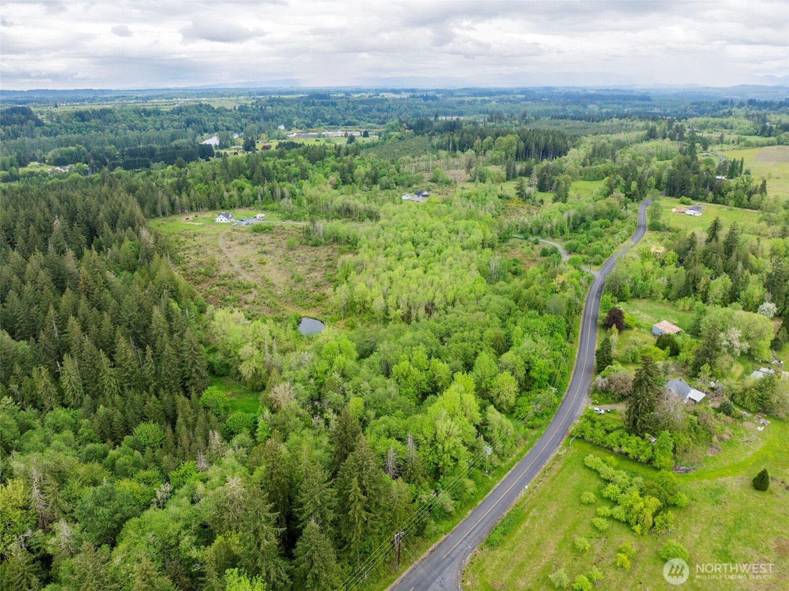 0 Eadon Road Toledo, WA 98591 - Photo 6 of 13 a view of a green field with lots of bushes