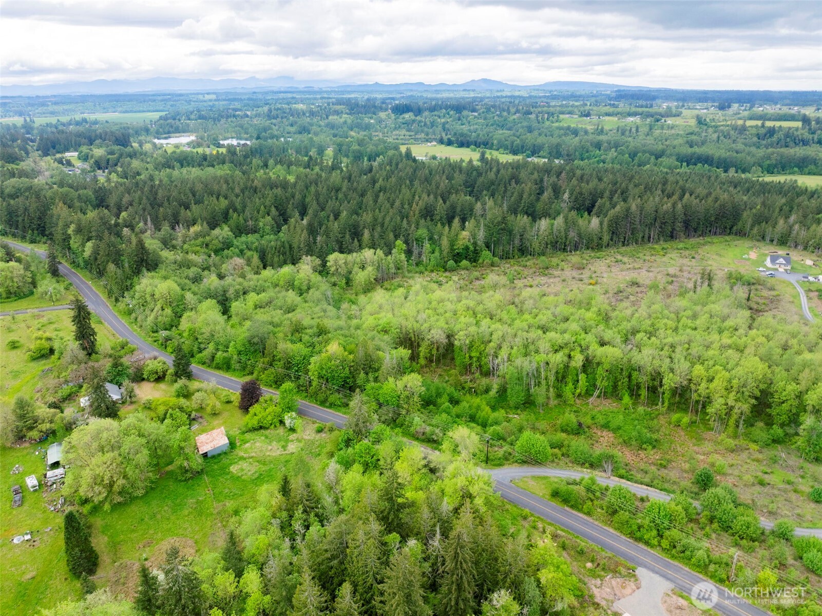0 Eadon Road Toledo, WA 98591 - Photo 7 of 13 a view of a green field with lots of trees