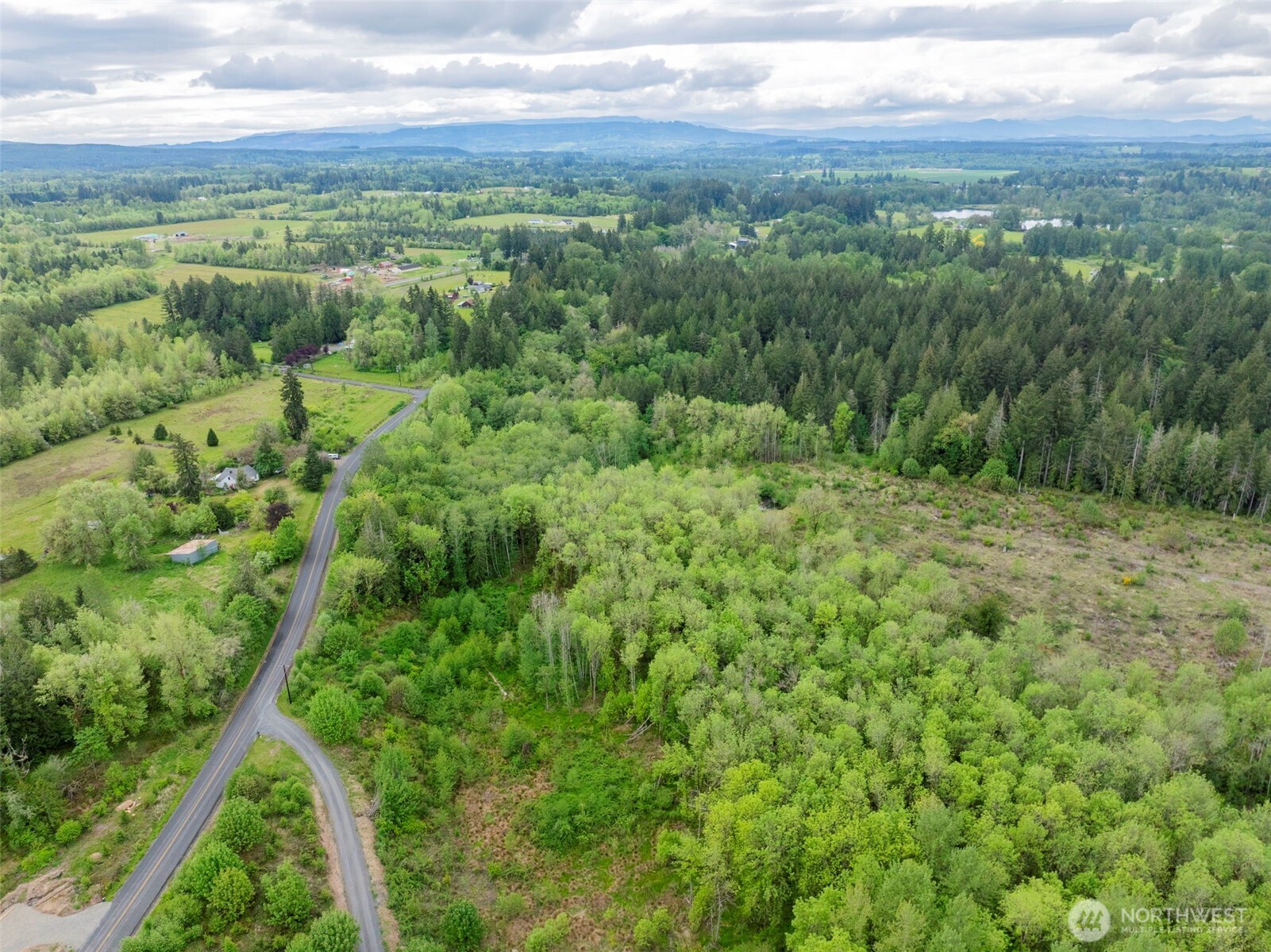 0 Eadon Road Toledo, WA 98591 - Photo 8 of 13 a view of a green field with lots of bushes