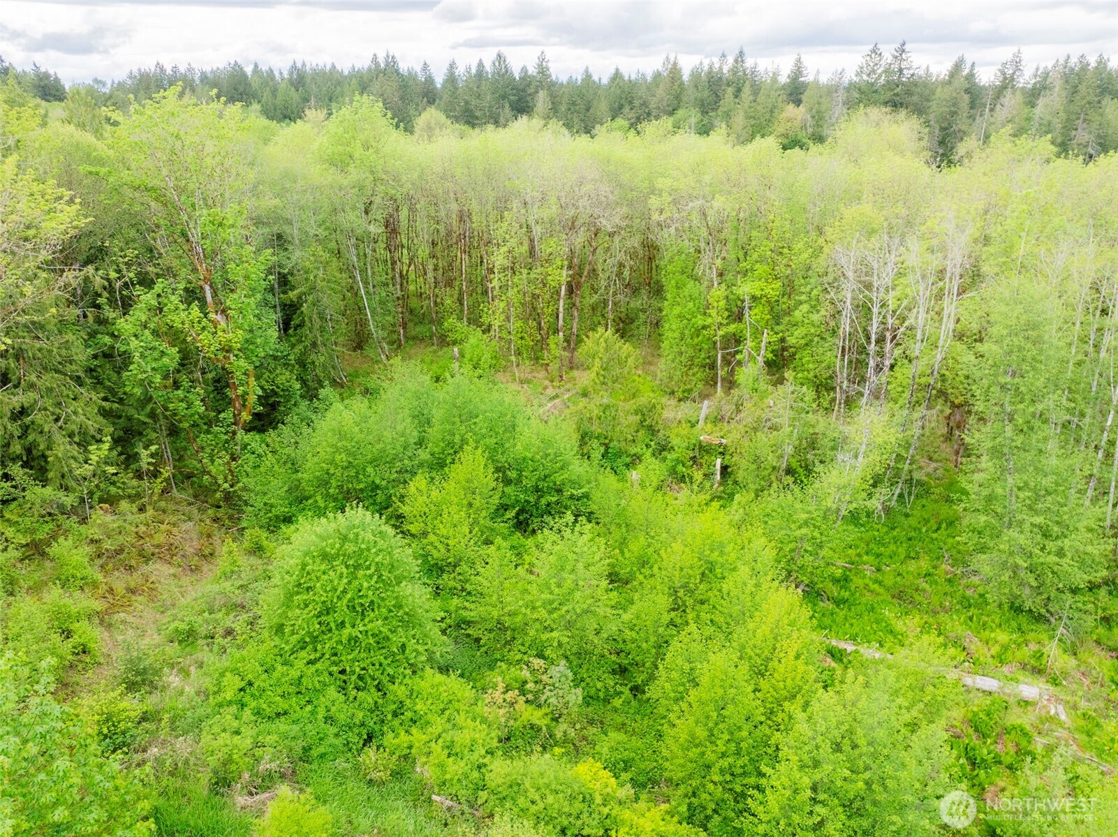 0 Eadon Road Toledo, WA 98591 - Photo 9 of 13 a view of lake and mountain