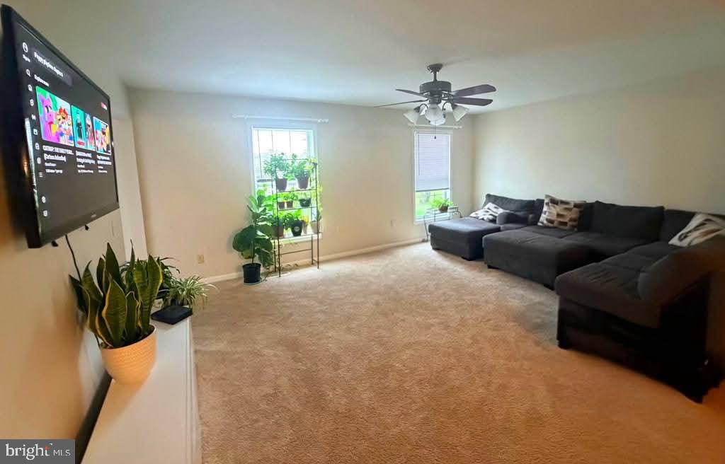 10156 Pineview Road Atlantic, VA 23303 - Photo 11 of 24