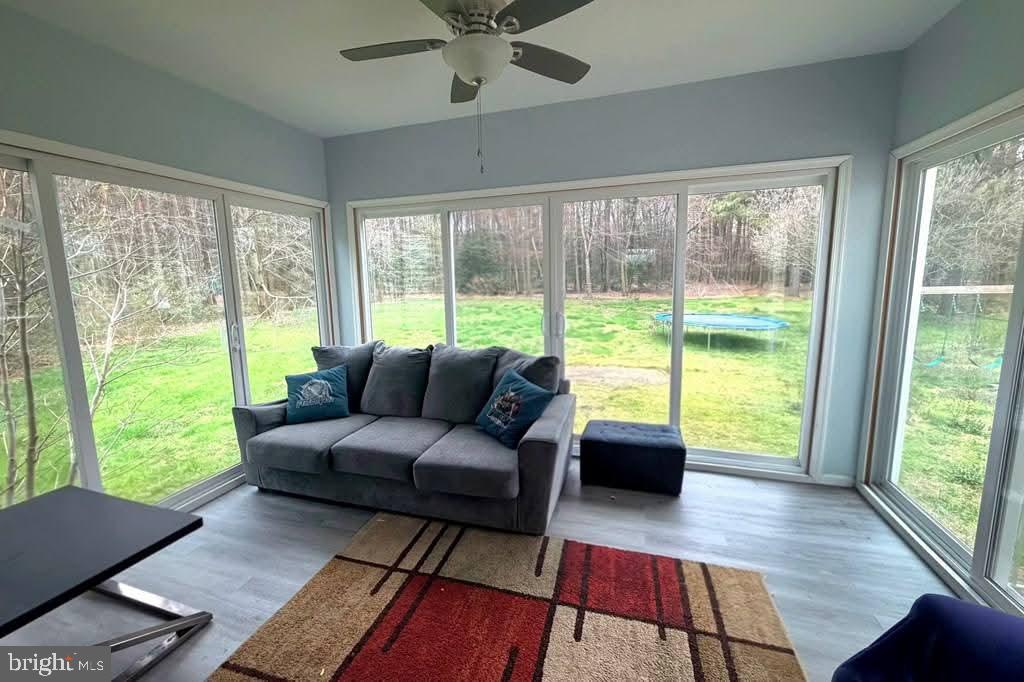 10156 Pineview Road Atlantic, VA 23303 - Photo 10 of 24