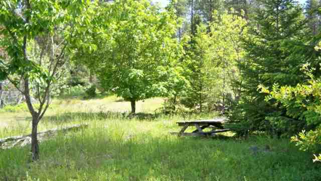 3359 Moore Road Kettle Falls, WA 99141 - Photo 9 of 9 Gallery Image 9