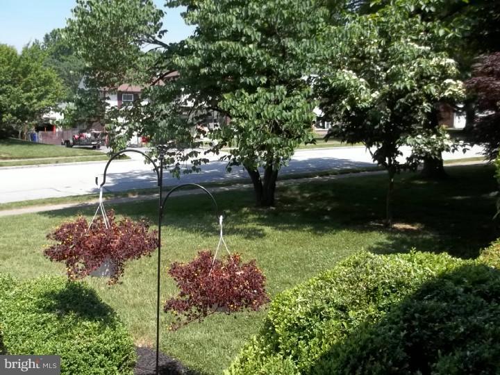 604 Cheyney Road Springfield, PA 19064 - Photo 11 of 11 View from Front Door