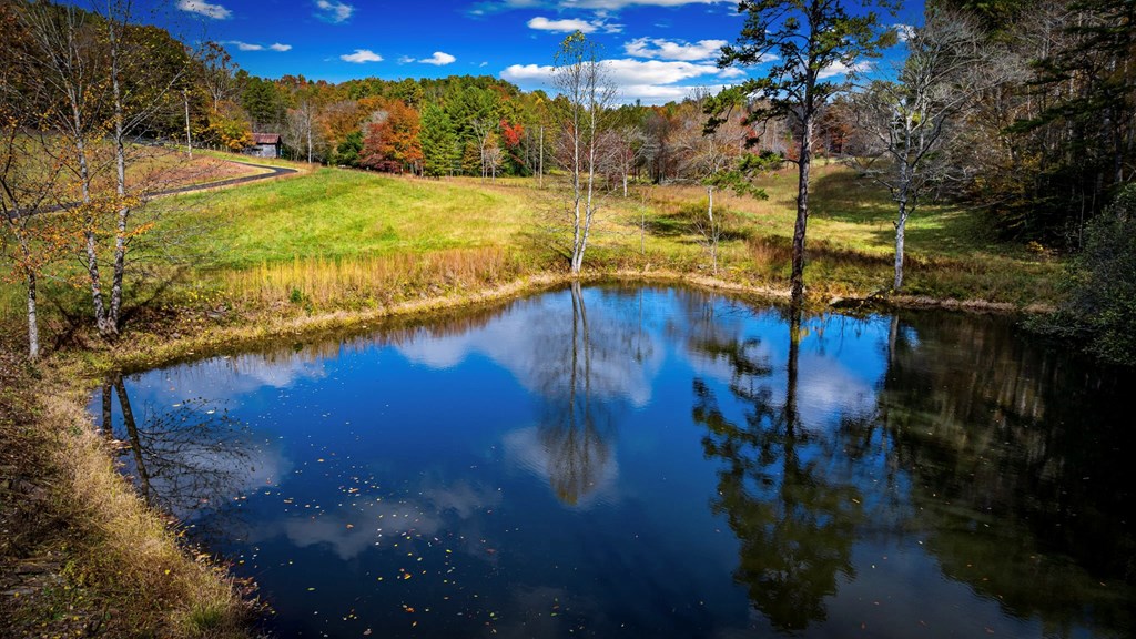 2650 Cutcane Road Mineral Bluff, GA 30559 - Photo 23 of 80 Front pasture pond near entrance and antique barn