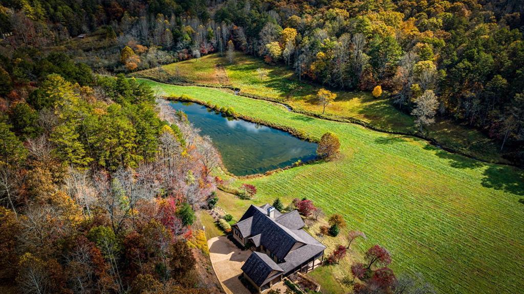 2650 Cutcane Road Mineral Bluff, GA 30559 - Photo 6 of 80 Private acreage, stunning water views, and close t