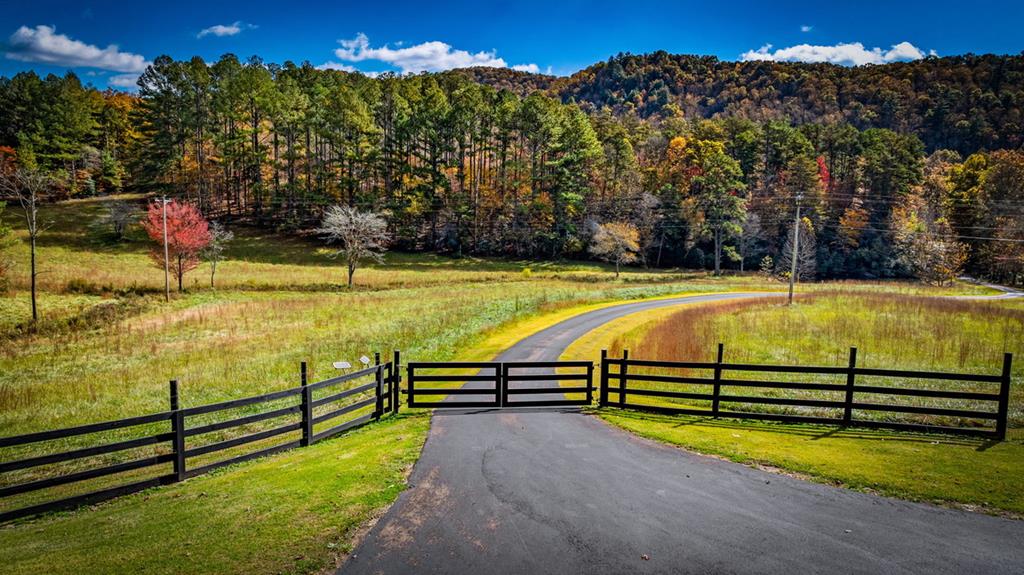 2650 Cutcane Road Mineral Bluff, GA 30559 - Photo 67 of 80 Private gate to your new retreat