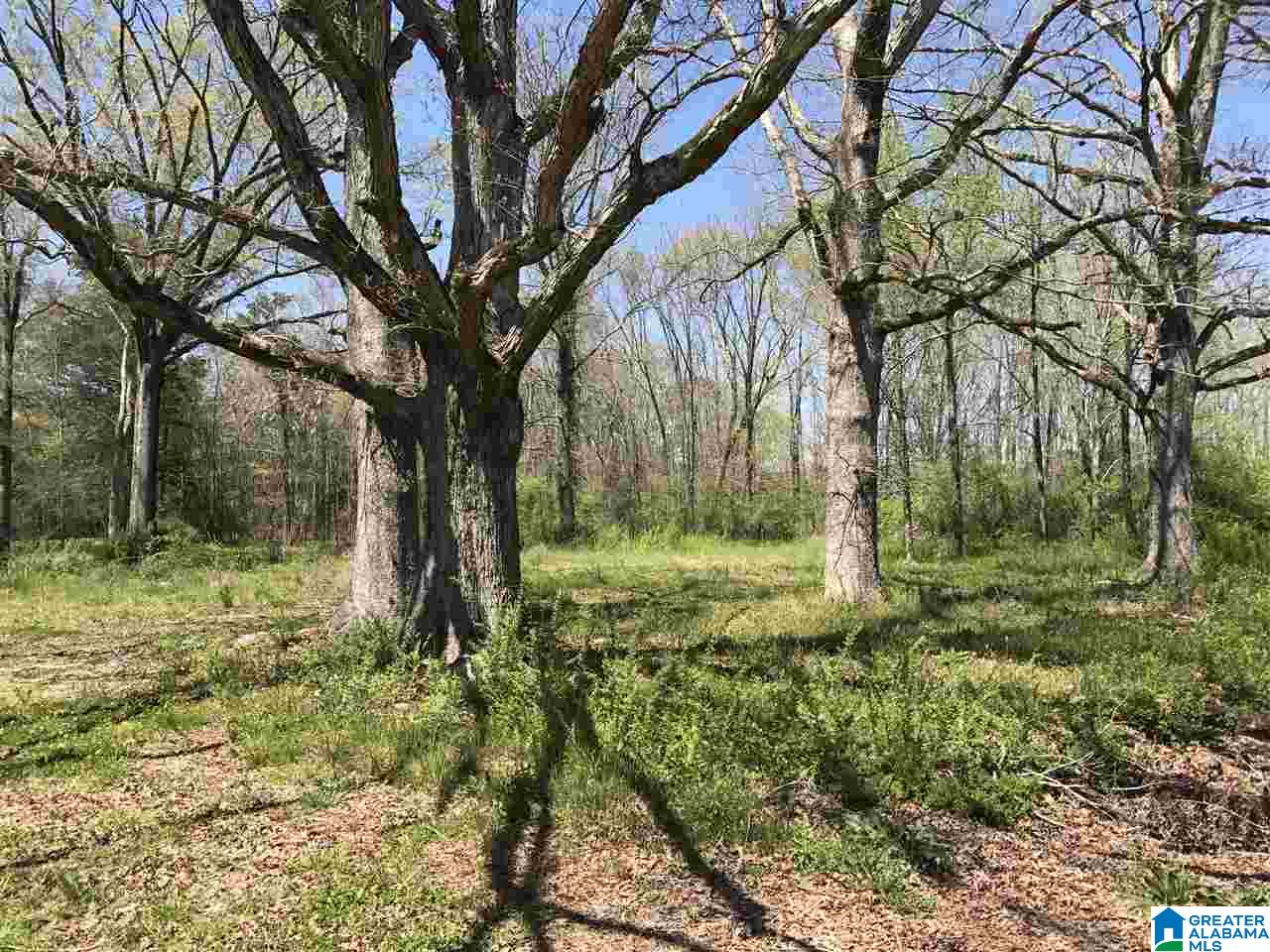 4133 Roy Webb Road, Unit 1 Jacksonville, AL 36265 - Photo 20 of 40