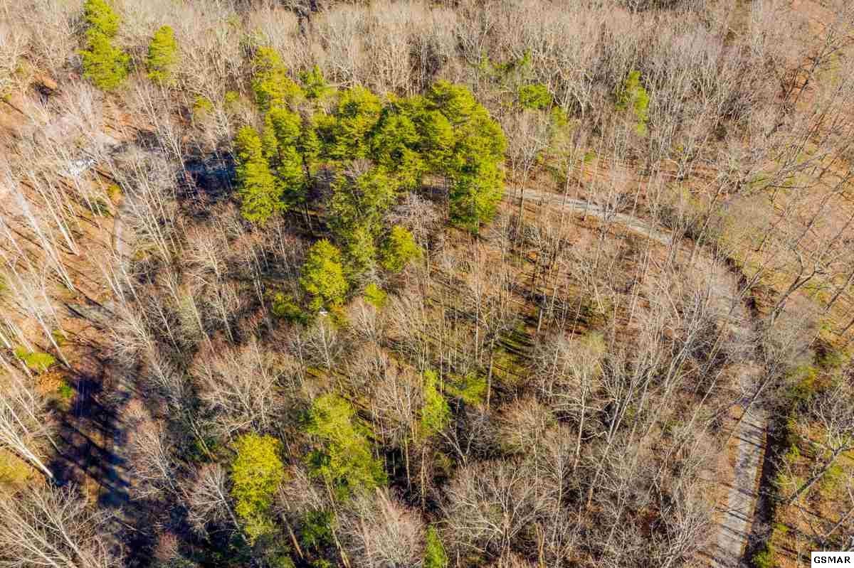 8 Bluebird Ridge Way Sevierville, TN 37876 - Photo 5 of 13 Gallery Image 5