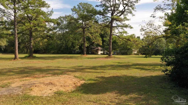 a swimming pool with trees