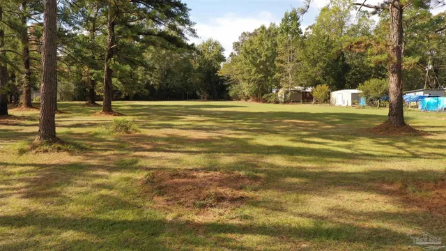 a view of a yard with plants