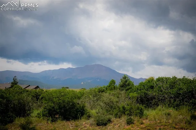 an aerial view of houses covered in trees