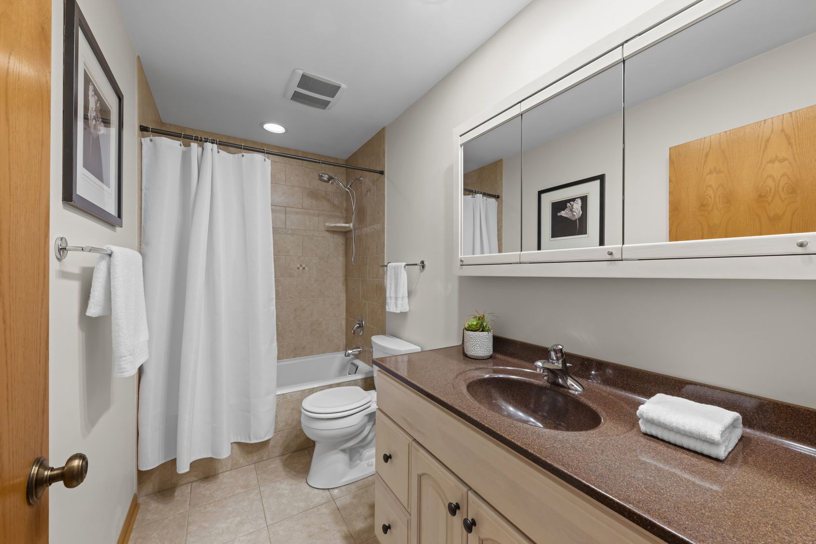 1913 Gladstone Drive Wheaton, IL 60189 - Photo 18 of 40