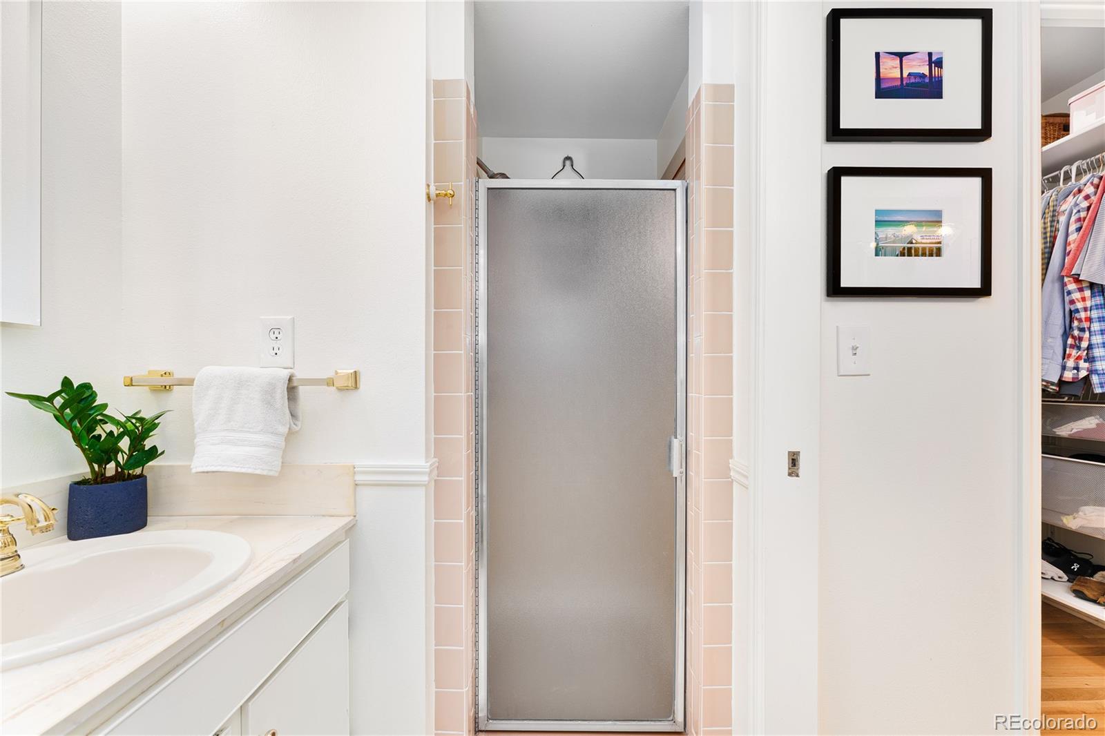 6149 South Elizabeth Way Centennial, CO 80121 - Photo 22 of 49 a bathroom with a sink a mirror and a potted plant