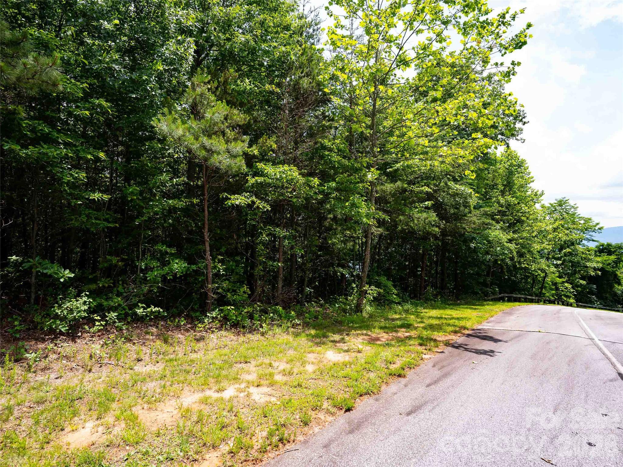 288 Eastman Place Mill Spring, NC 28756 - Photo 15 of 15 a view of outdoor space