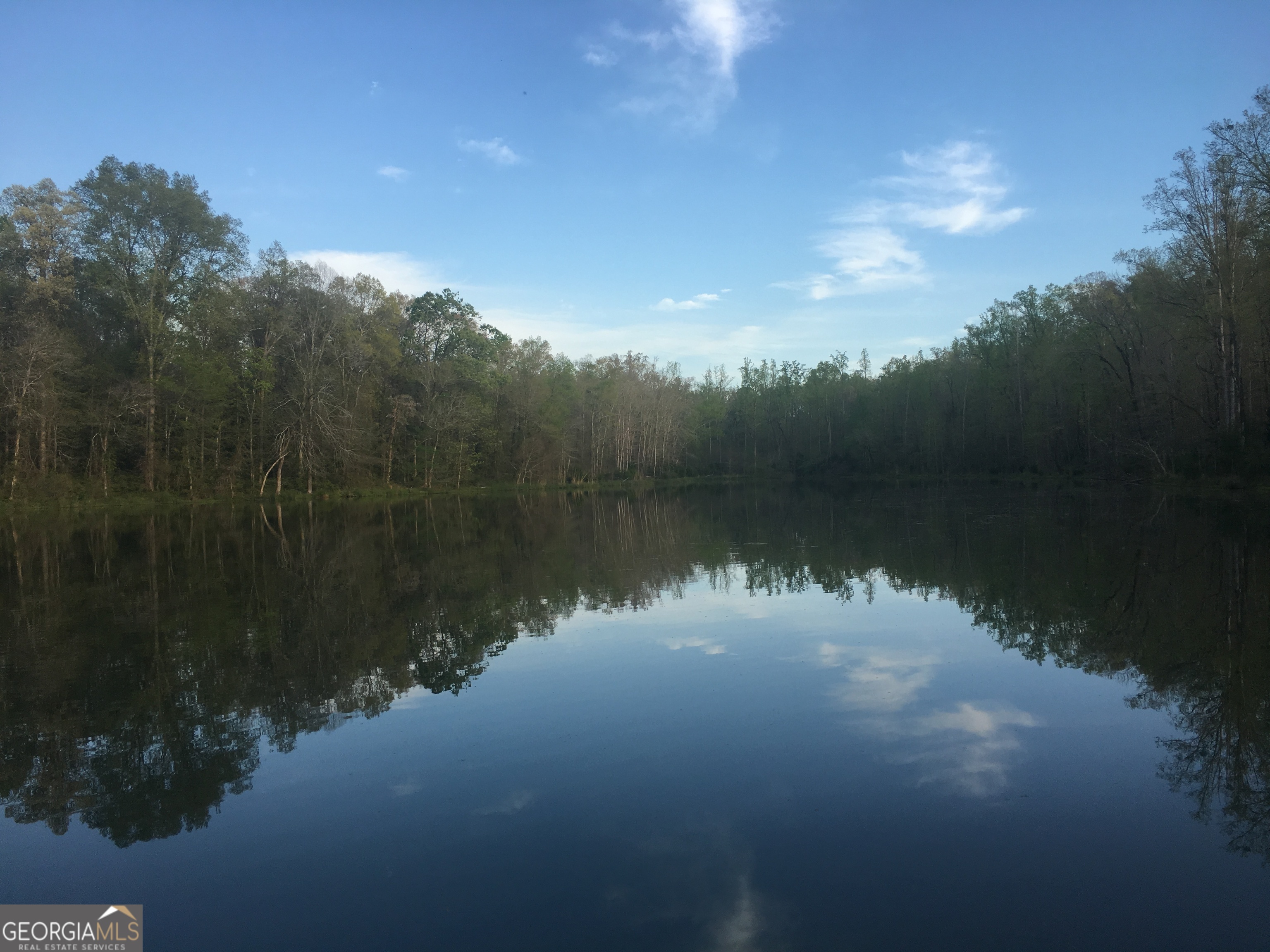 a view of a lake from a yard