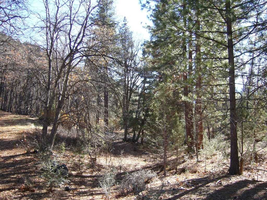 20 Acres Scarface Road Gazelle, CA 96034 - Photo 9 of 34 Gallery Image 9