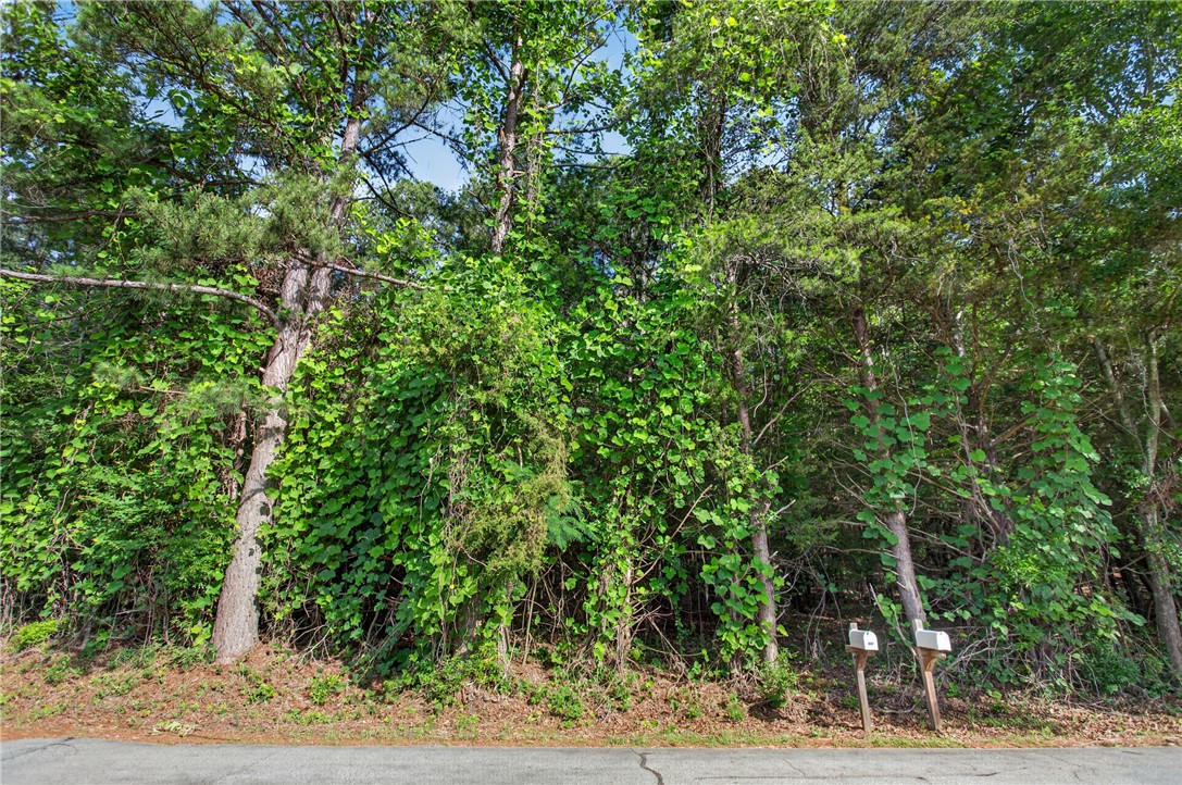 0 Barnes Road Seneca, SC 29672 - Photo 8 of 16 Mature trees and lush greenery provide natural privacy for this secluded lot.