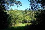 6398 Townsend Road East Jordan, MI 49727 - Photo 1 of 4 Gallery Image 1