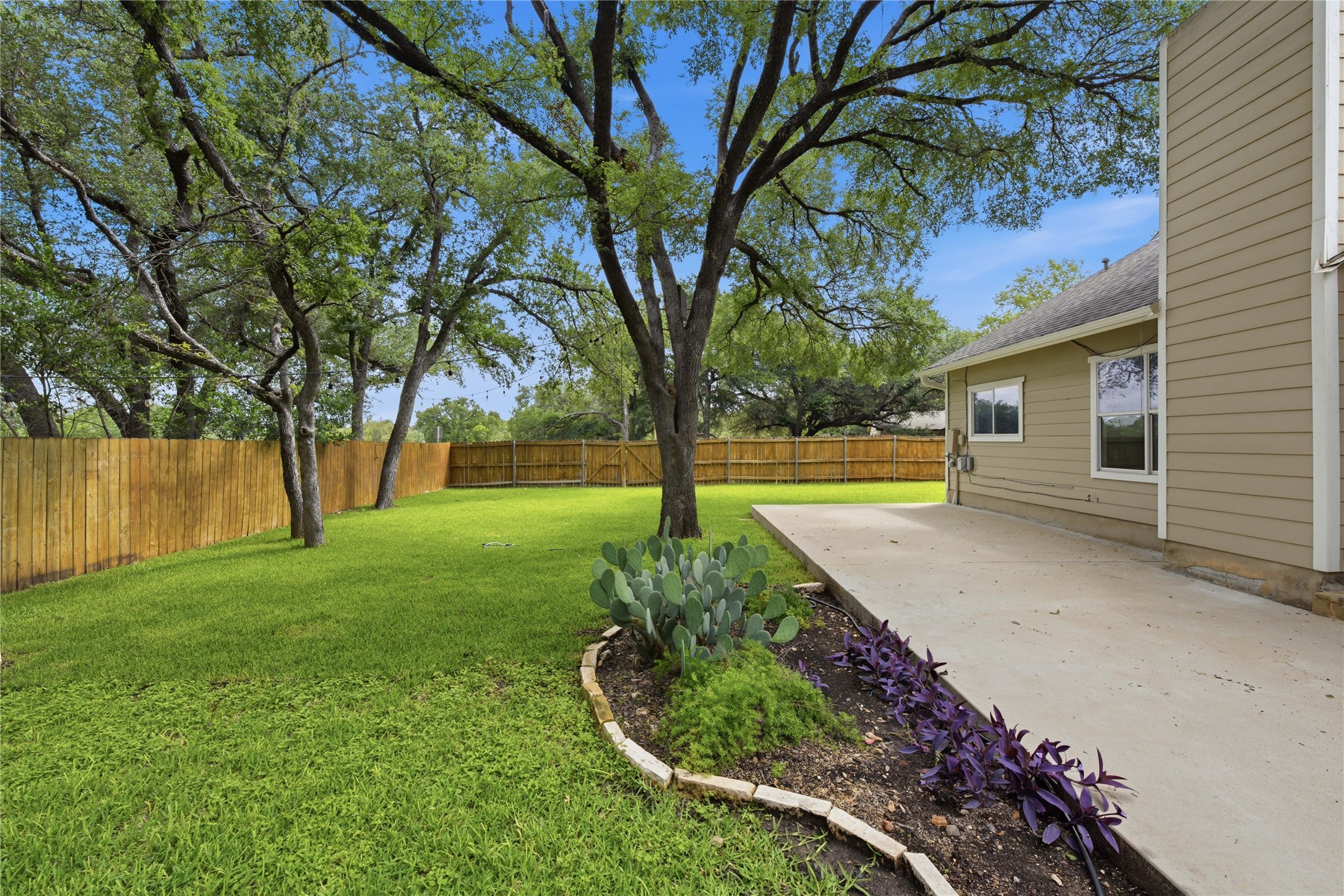1317 Mimosa Pass Cedar Park, TX 78613 - Photo 4 of 20 a view of a garden with trees