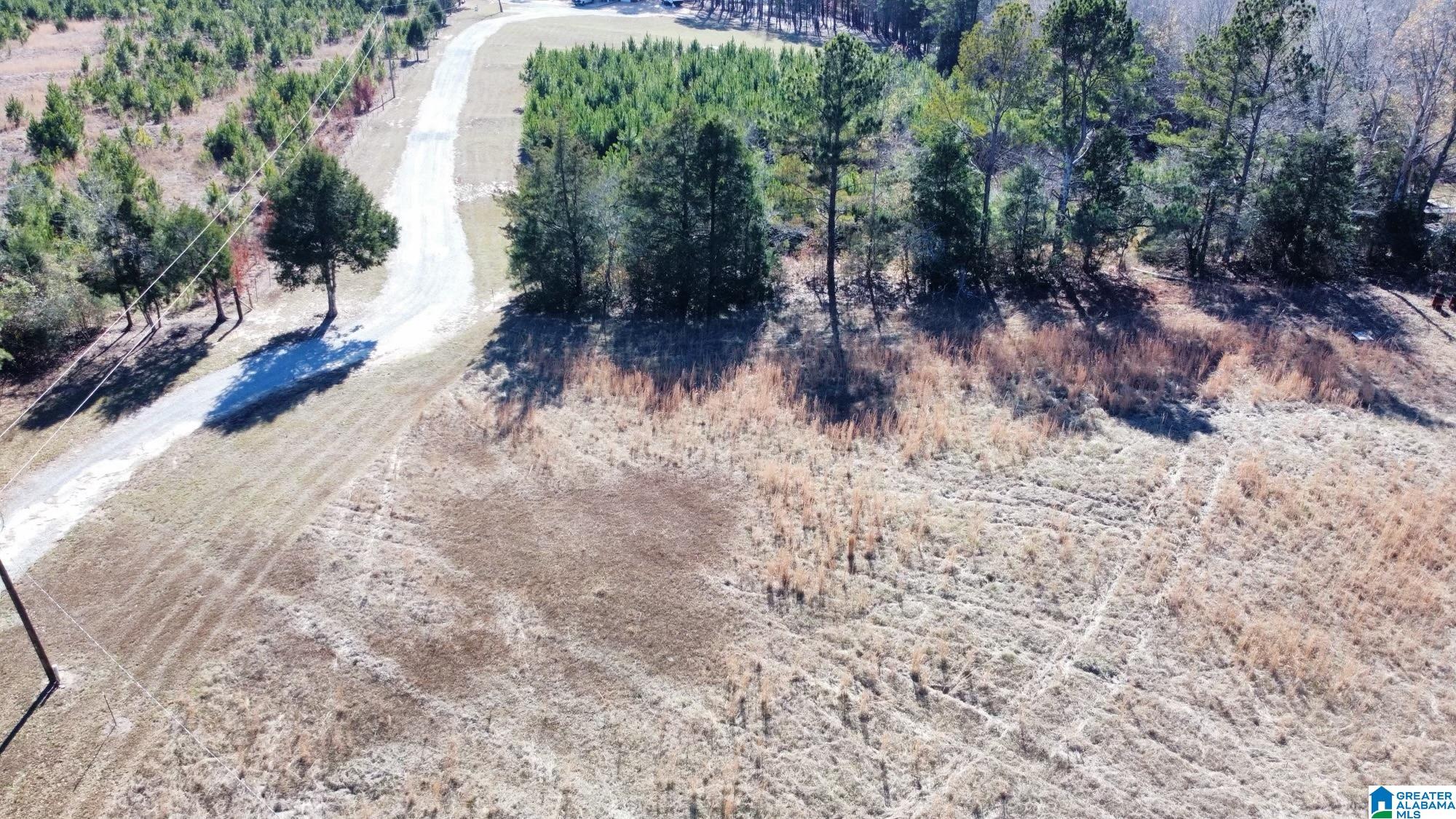 40 County Road 494 Verbena, AL 36091 - Photo 3 of 16