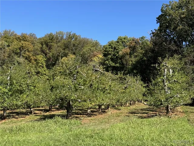 $985,000 | Lot F13 Carpenter Drive, North Garden, VA 22959