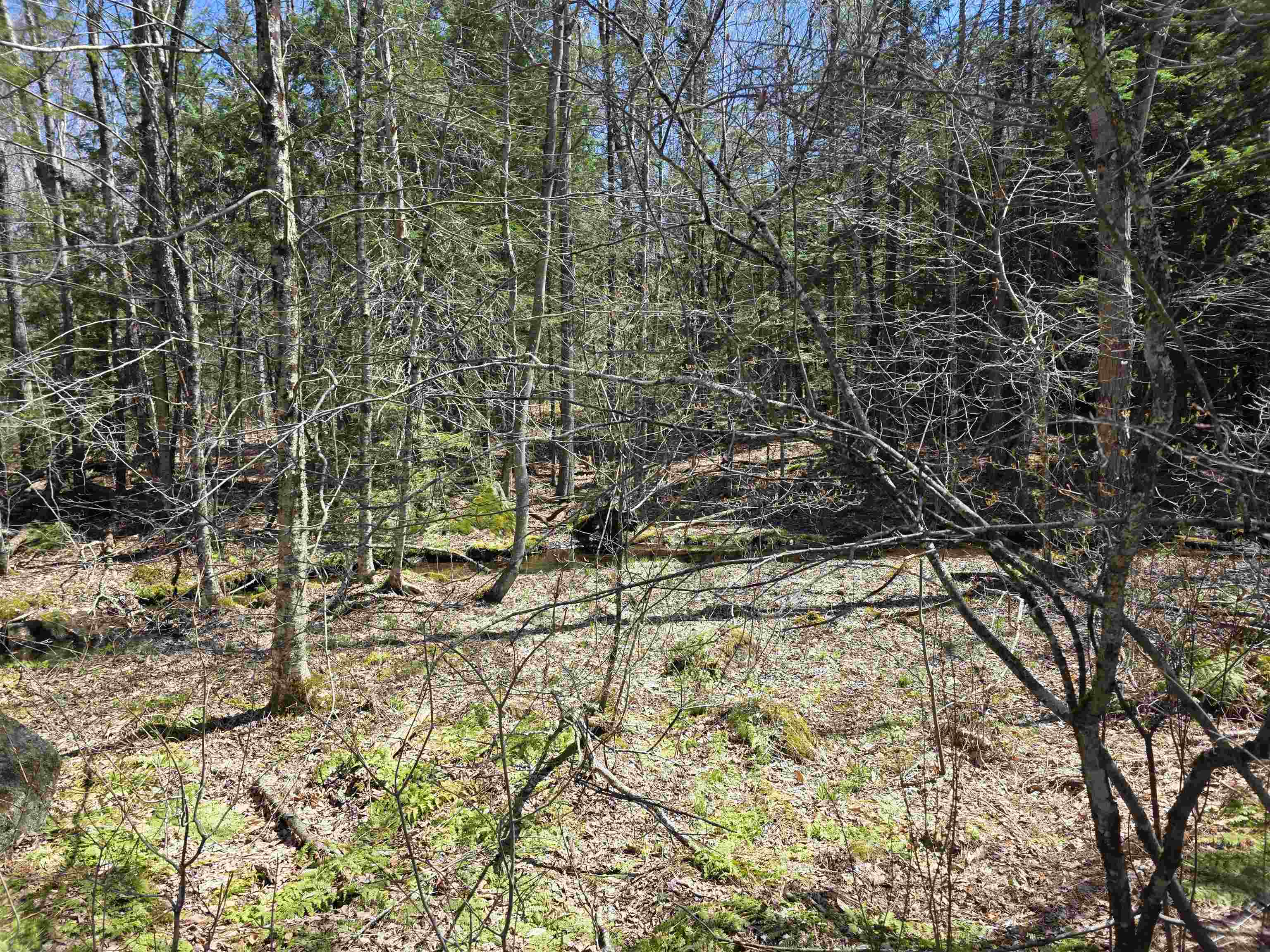 0 Mansfield Road Marlow, NH 03456 - Photo 2 of 12
